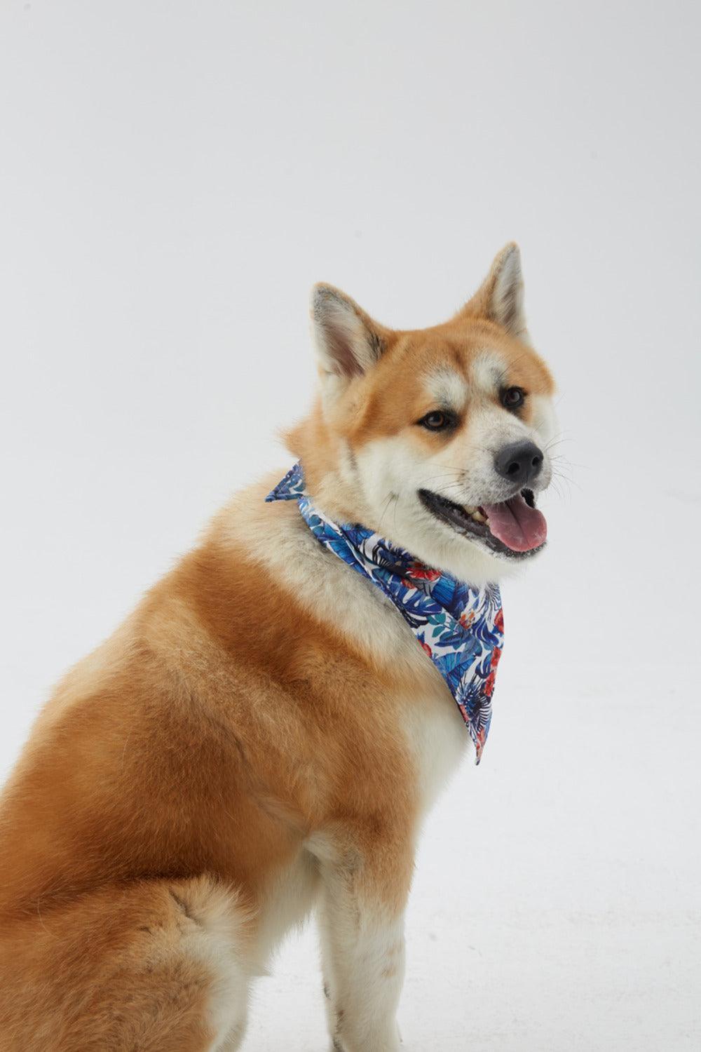 Hypet Fashion-Hawaii Bandana-Köpek-1-Milagron.com