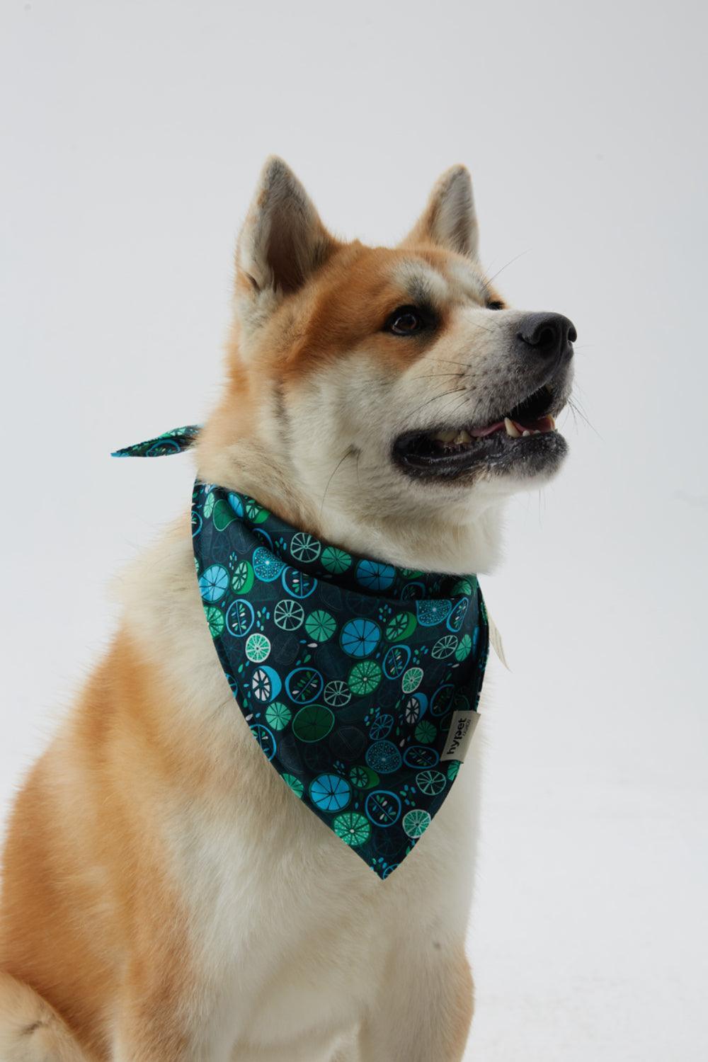 Hypet Fashion-Lime Bandana-Köpek-3-Milagron.com