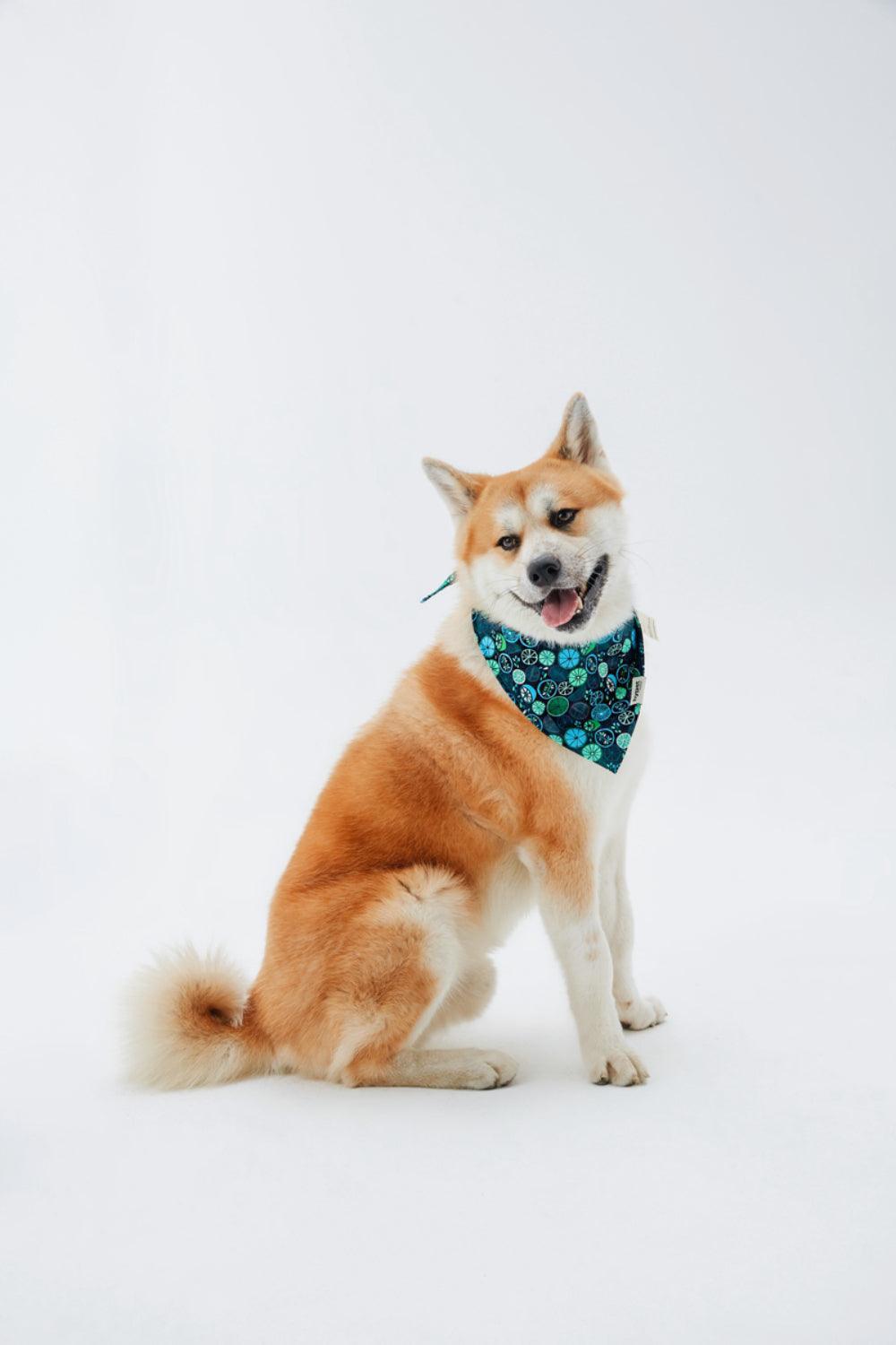 Hypet Fashion-Lime Bandana-Köpek-4-Milagron.com