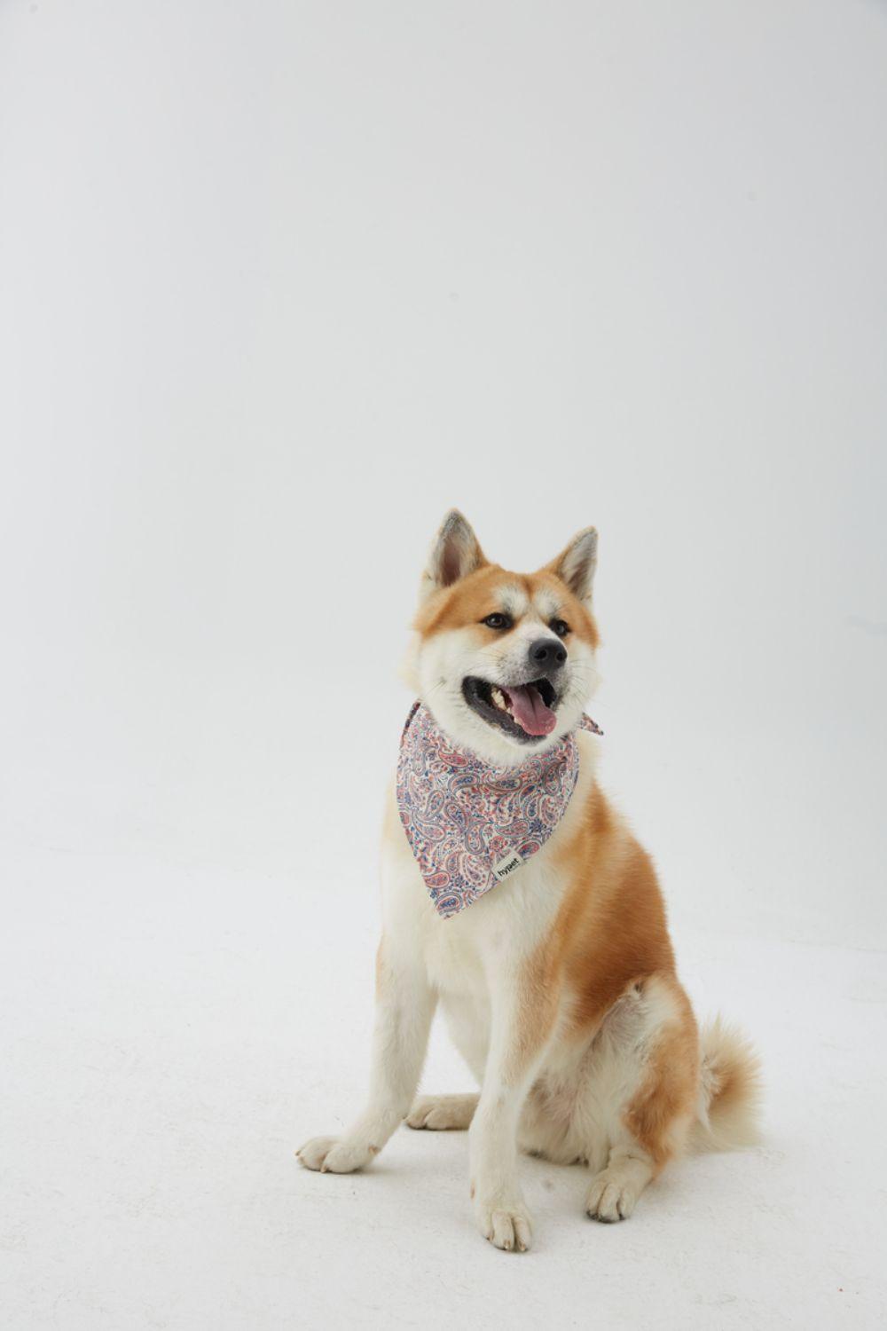 Hypet Fashion-Paisley Bandana-Köpek-5-Milagron.com