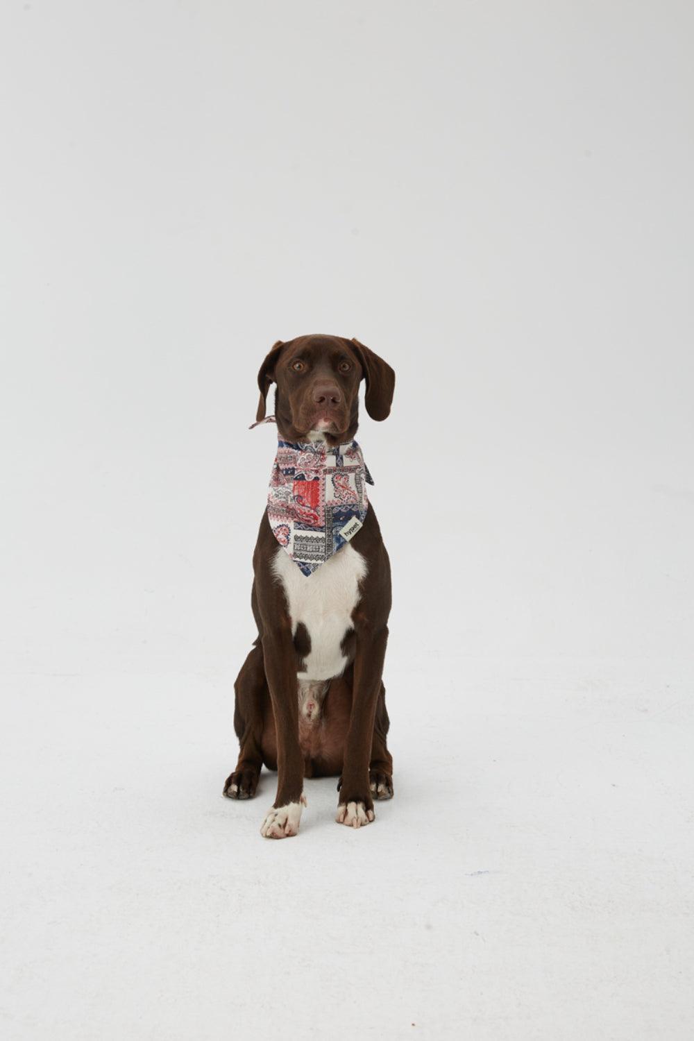Hypet Fashion-Patchwork Bandana-Köpek-4-Milagron.com