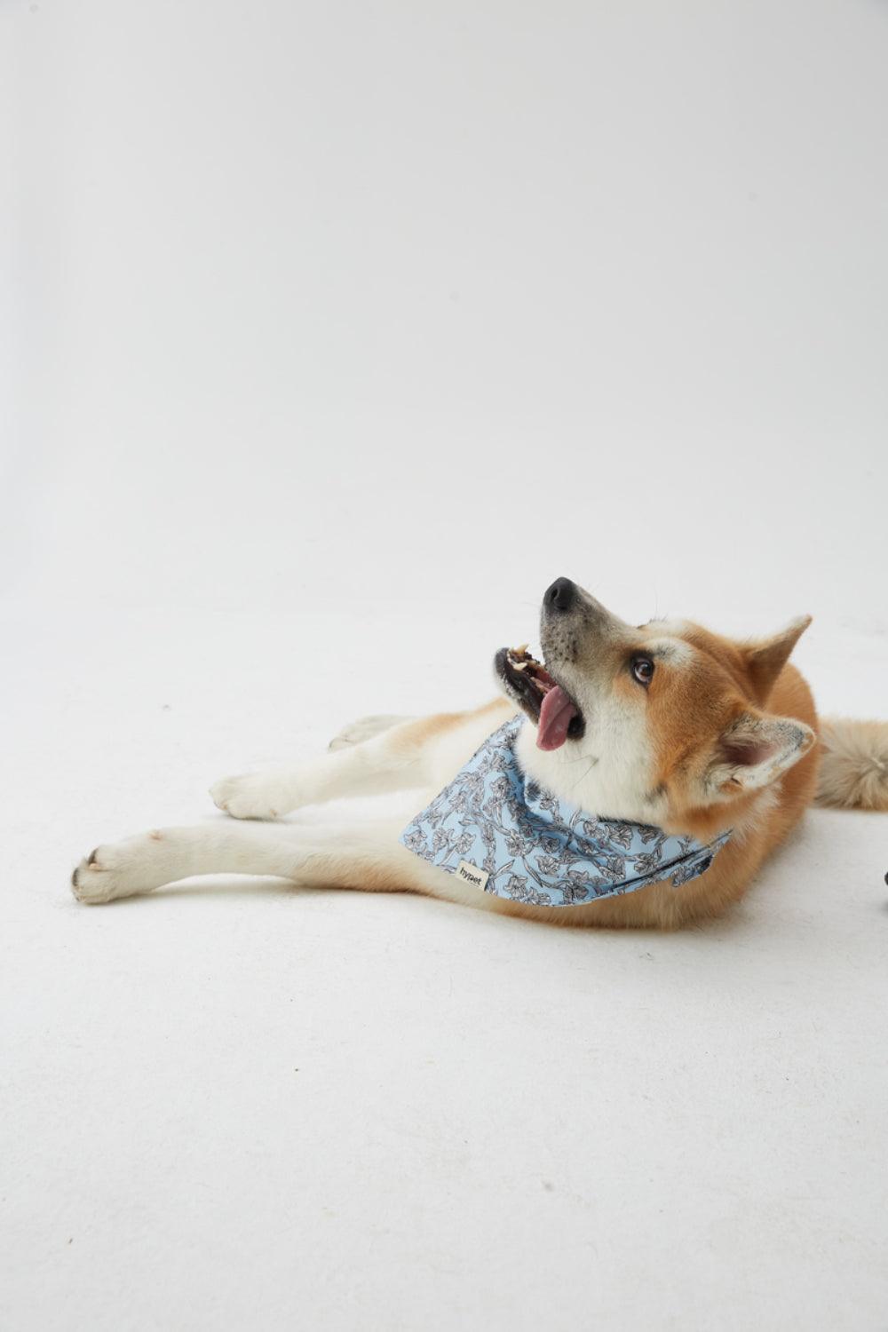 Hypet Fashion-Tulip Bandana-Köpek-3-Milagron.com