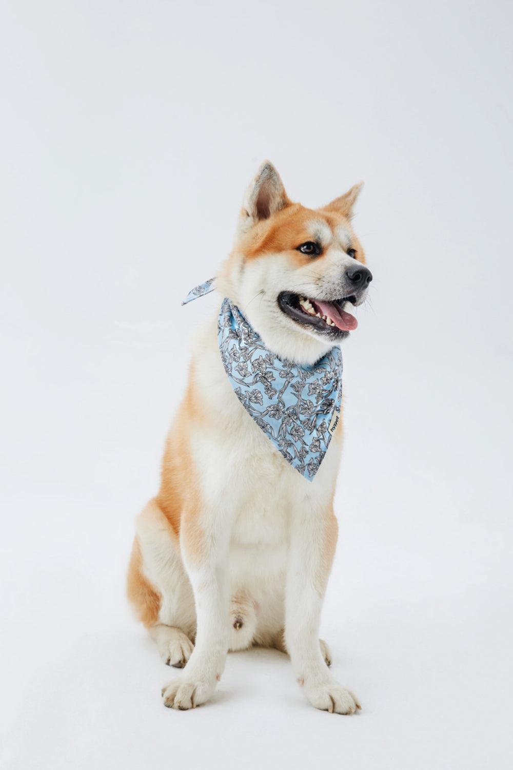 Hypet Fashion-Tulip Bandana-Köpek-4-Milagron.com