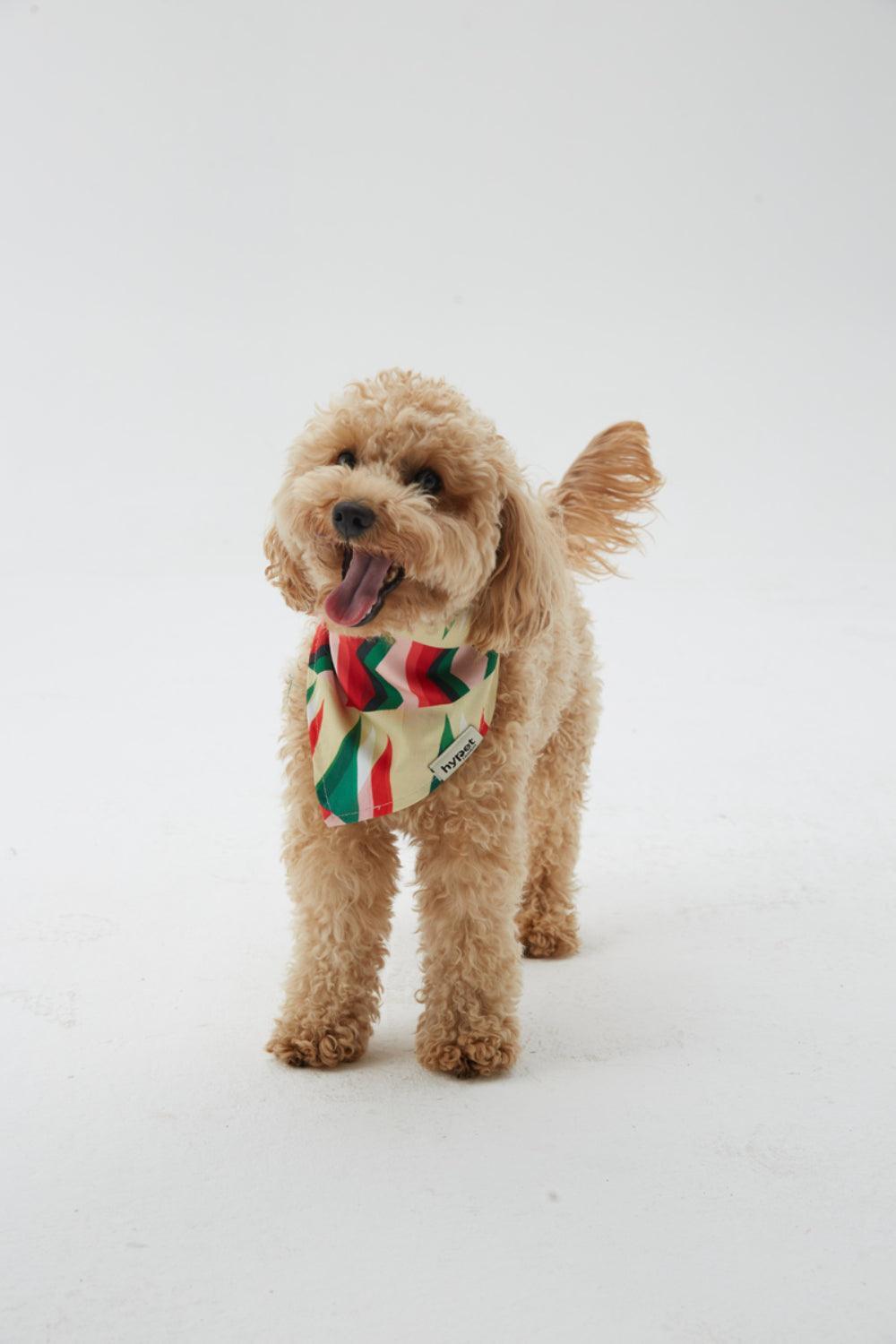 Hypet Fashion-Watermelon Bandana-Köpek-3-Milagron.com