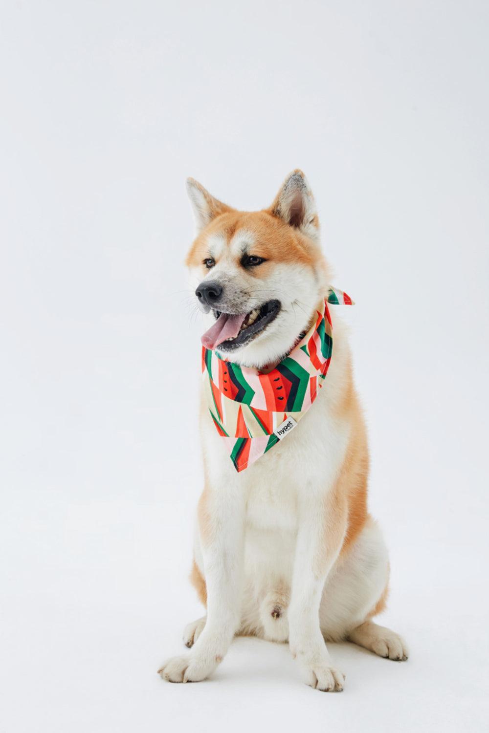 Hypet Fashion-Watermelon Bandana-Köpek-4-Milagron.com