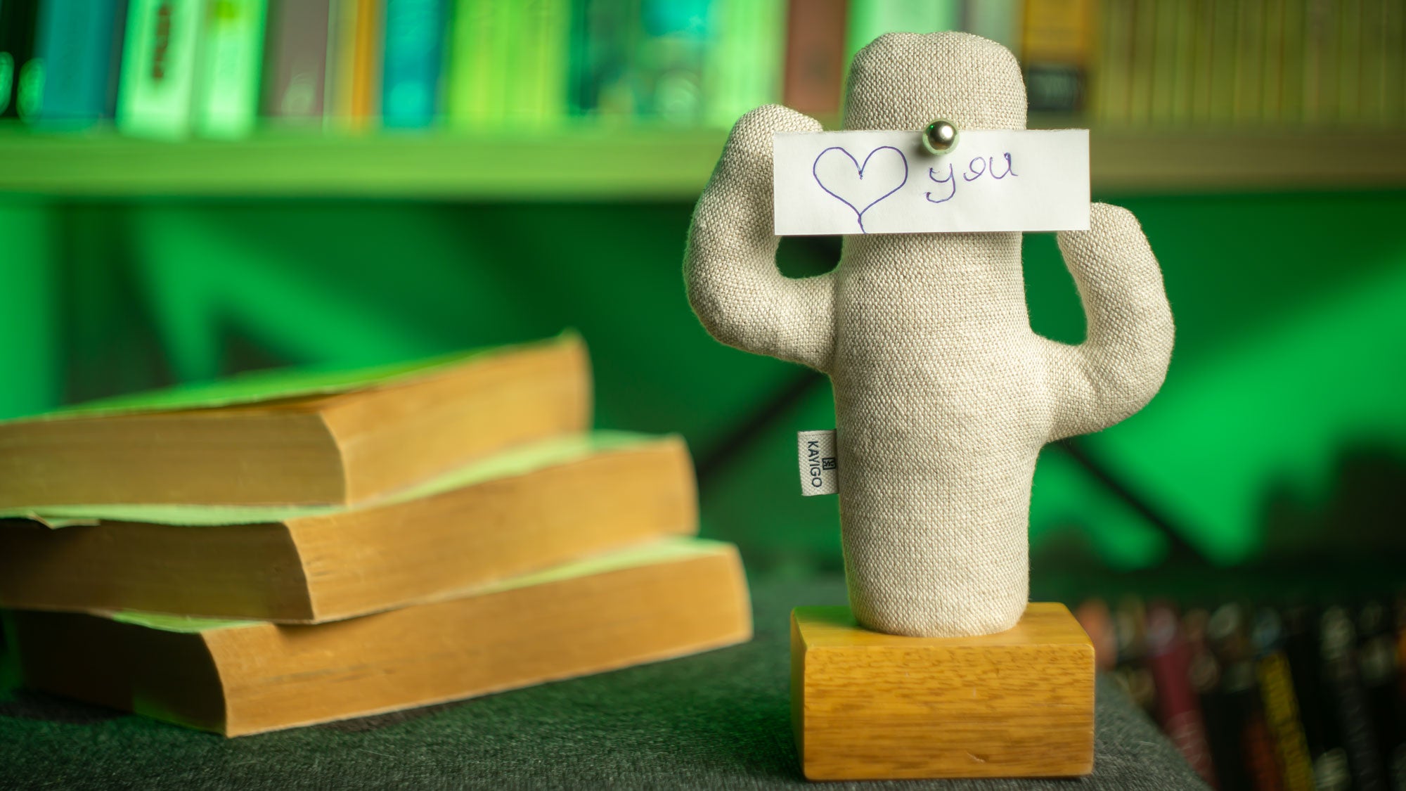 Kayigo-Cactus Lavanta Dolgulu Notluk-Masaüstü Organizer-6-Milagron.com