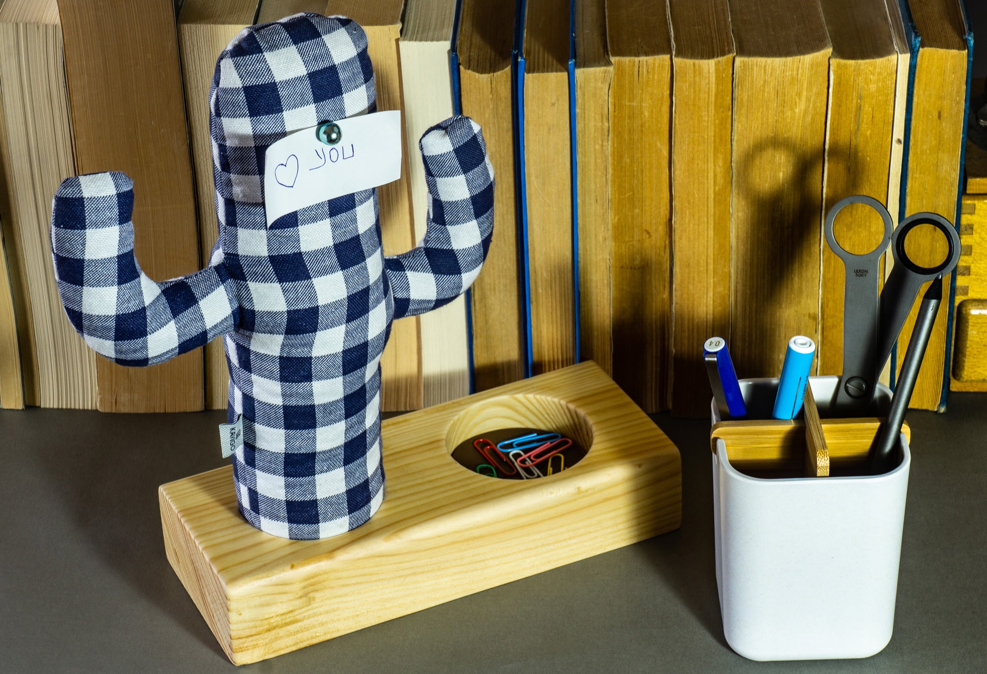 Kayigo-Cactus Xl + Station Organizer-Masaüstü Organizer-3-Milagron.com