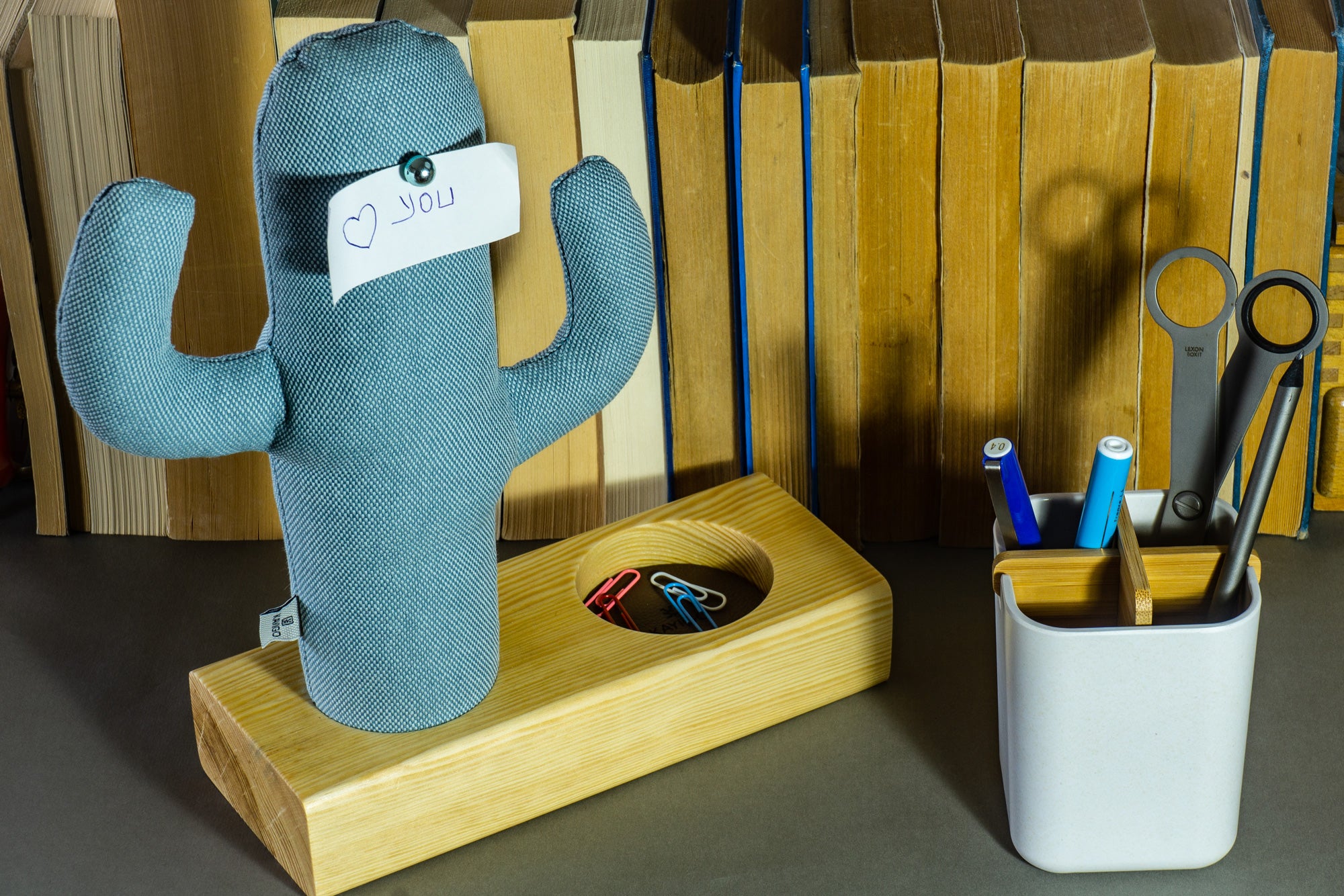 Kayigo-Cactus Xl + Station Organizer Mavi-Masaüstü Organizer-3-Milagron.com