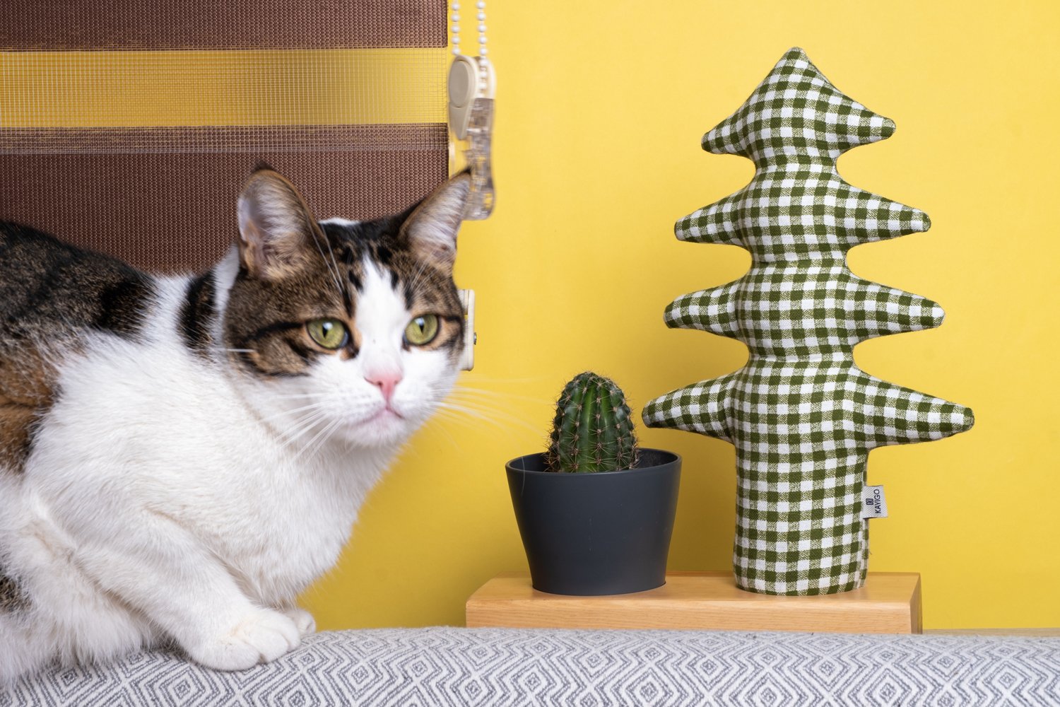 Kayigo-Flowery Saksılı Notluk Pötikareli çam-Masaüstü Organizer-2-Milagron.com