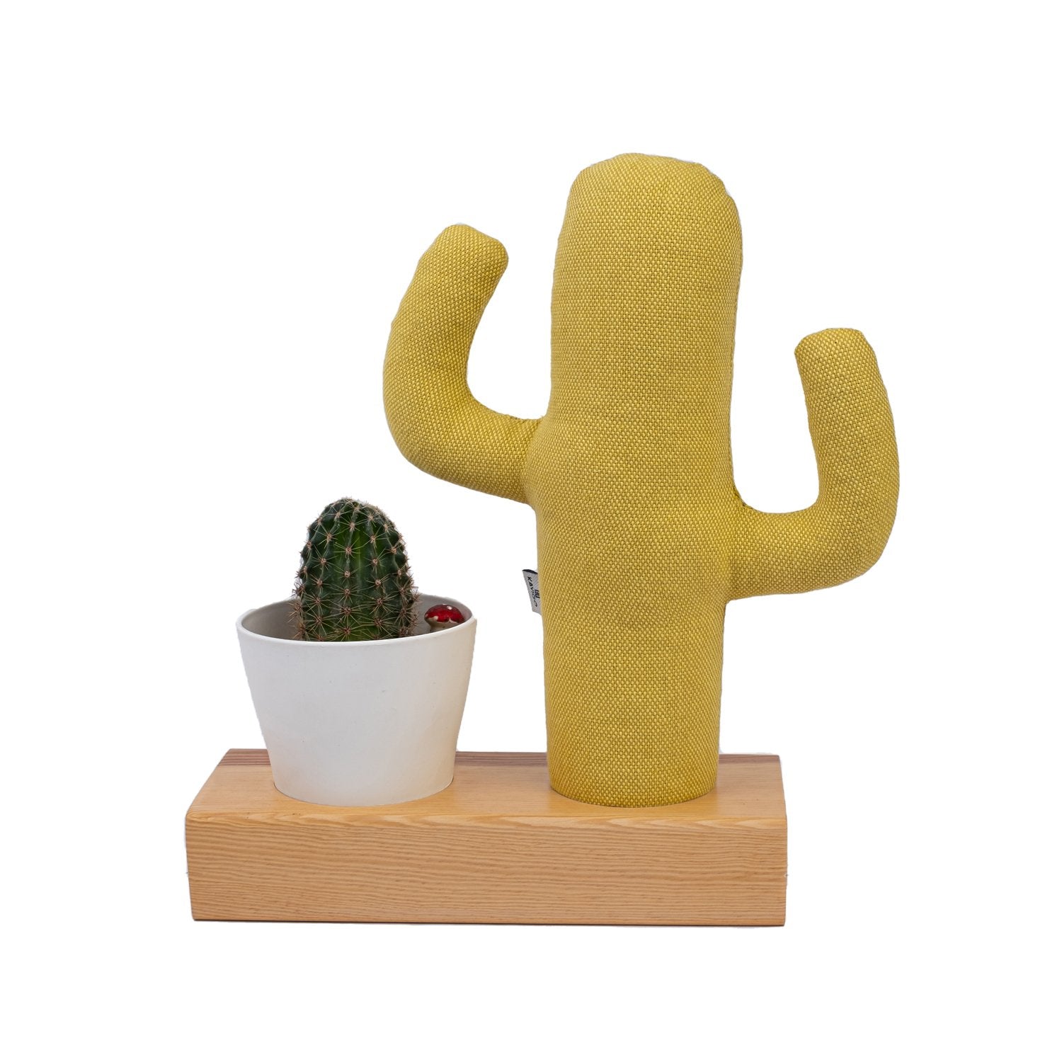 Kayigo-Flowery Saksılı Notluk Sarı Kaktüs-Masaüstü Organizer-2-Milagron.com