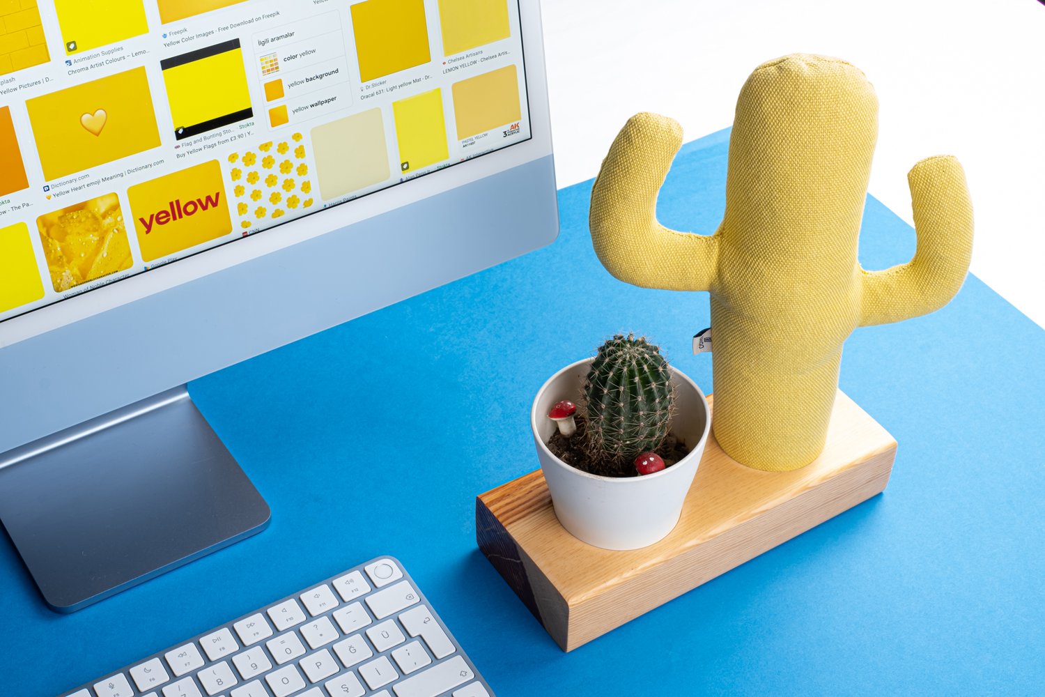 Kayigo-Flowery Saksılı Notluk Sarı Kaktüs-Masaüstü Organizer-4-Milagron.com