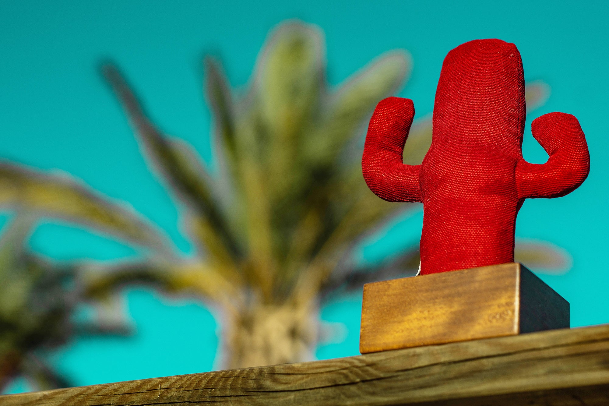 Kayigo-Kayıgo Cactus Lavanta Dolgulu Notluk-Masaüstü Organizer-3-Milagron.com