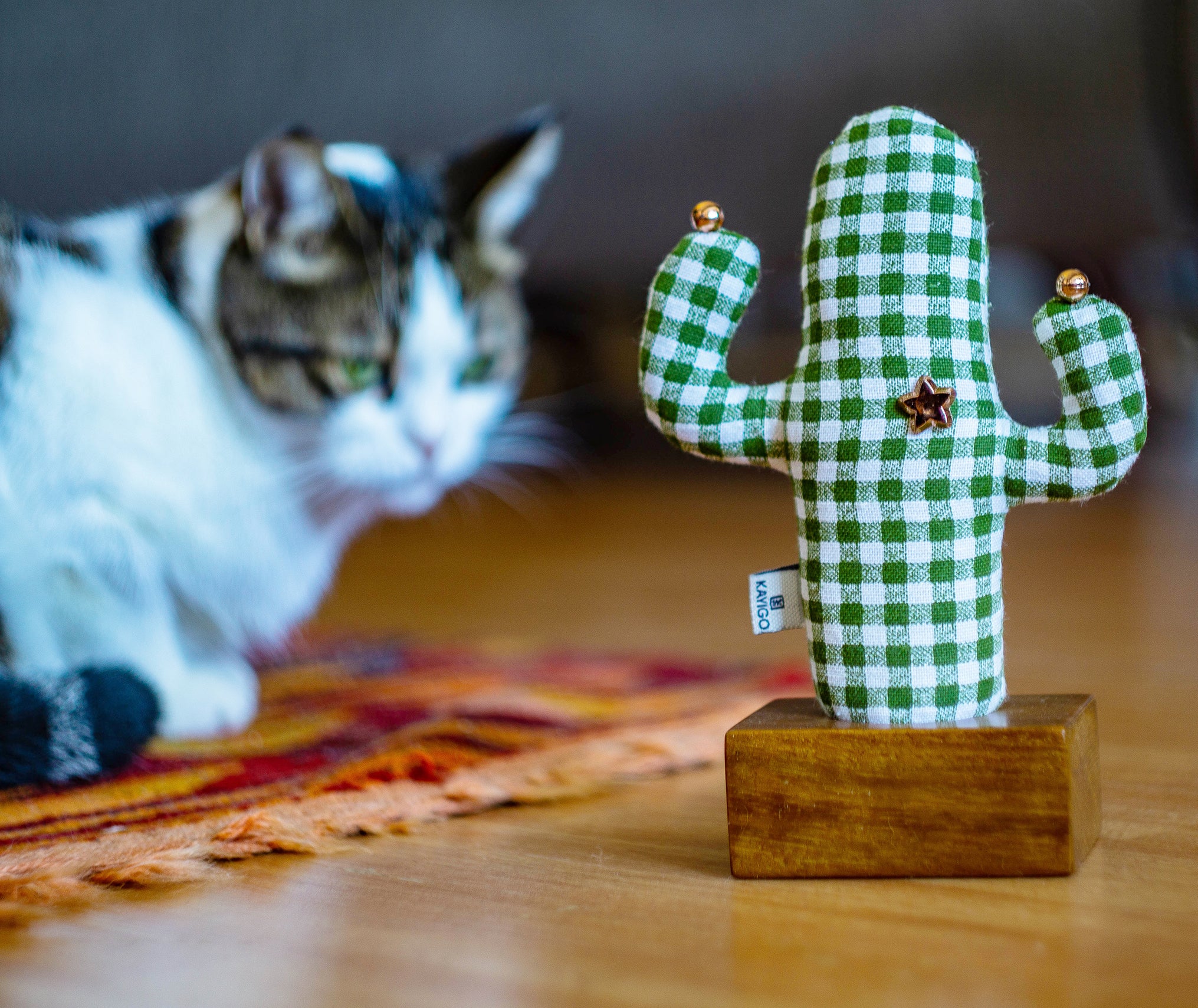 Kayigo-Kayıgo Cactus Lavanta Dolgulu Notluk-Masaüstü Organizer-4-Milagron.com