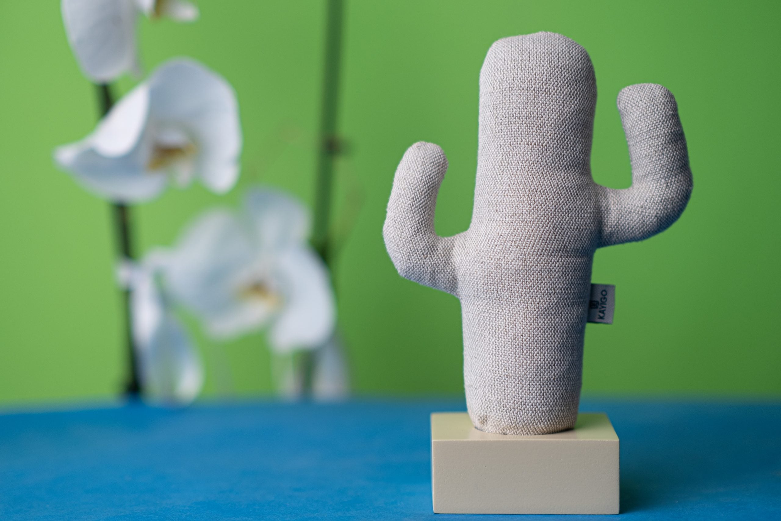 Kayigo-Woody Krem üçlü Ofis Seti Bej Cactus-Masaüstü Organizer-5-Milagron.com