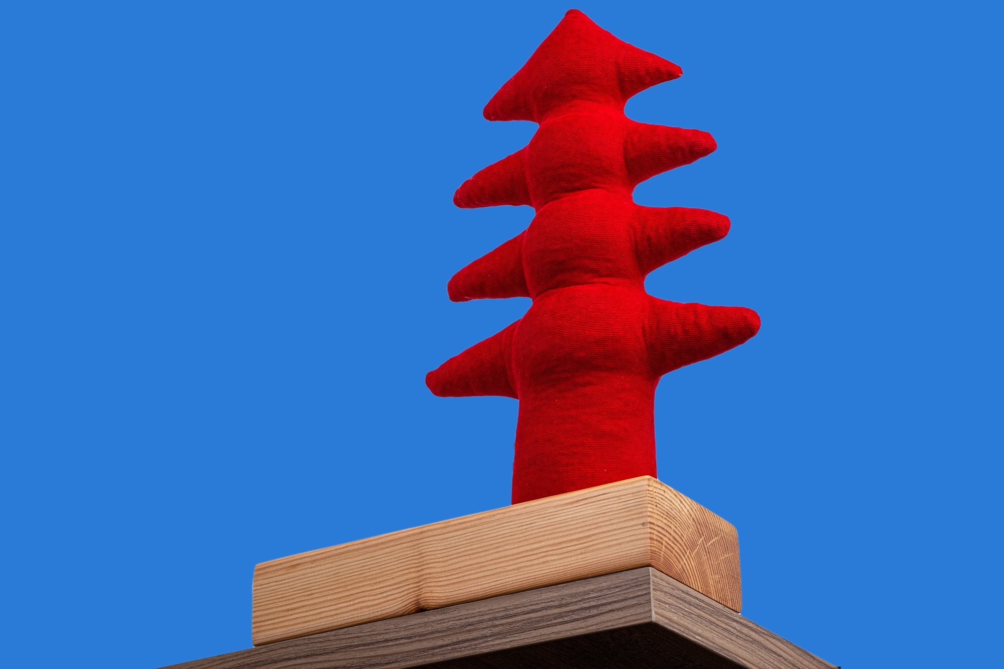 Kayigo-çam Xl + Station Lavanta Dolgulu Organizer Kırmızı-Masaüstü Organizer-4-Milagron.com