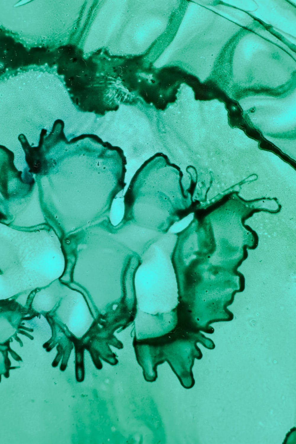 Melike Kara-'Anahata Çakra' Çerçeveli Tablo-Tablo-3-Milagron.com