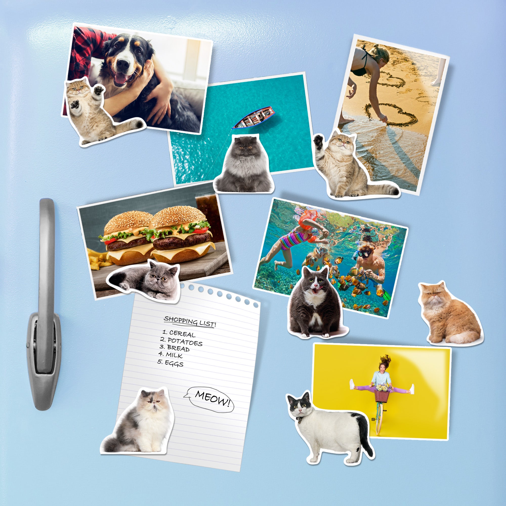 Mustard-Mustard Cat Magnet-Magnet-1-Milagron.com