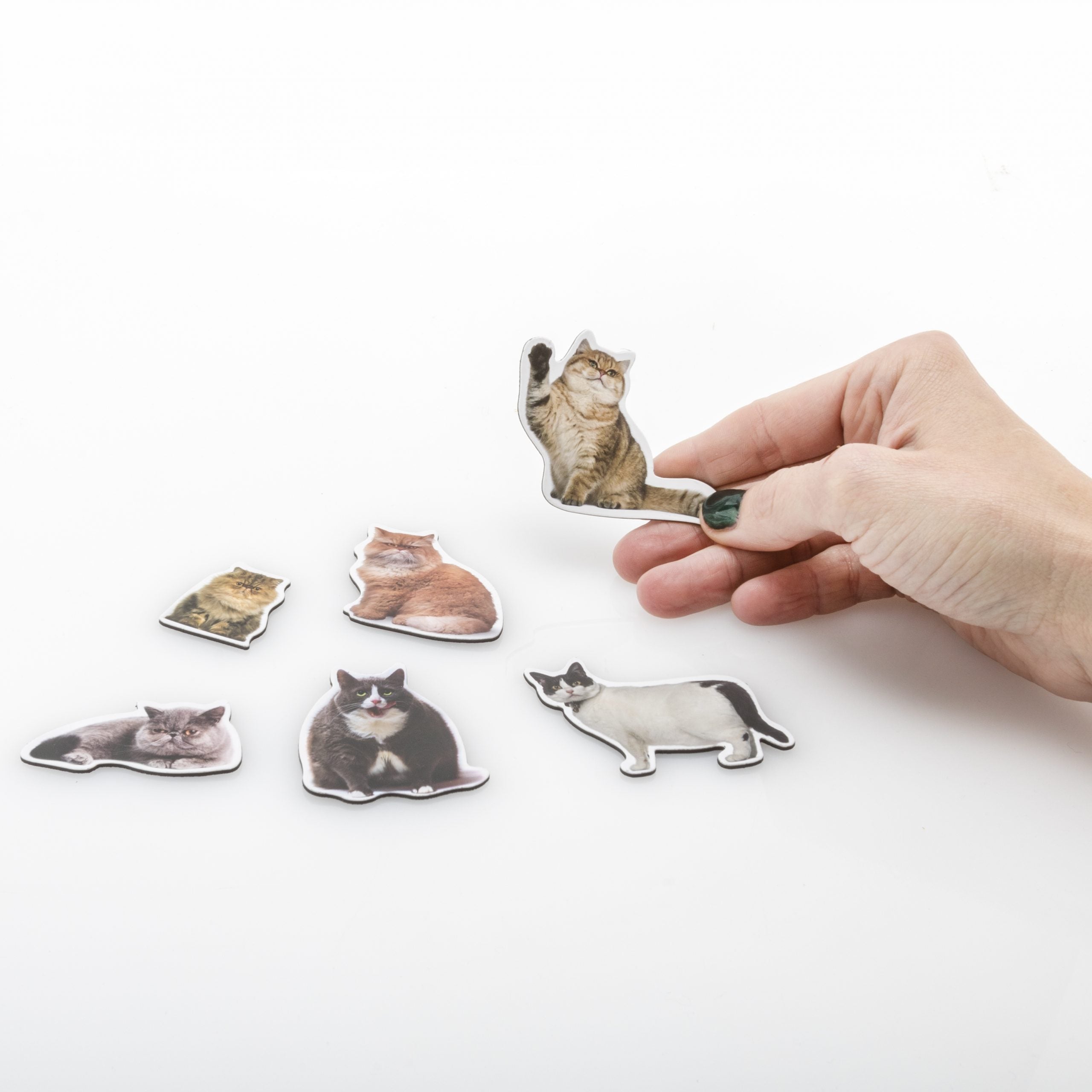 Mustard-Mustard Cat Magnet-Magnet-5-Milagron.com