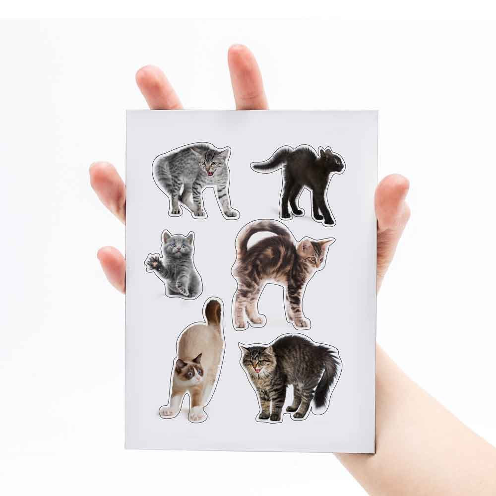 Mustard-Mustard Sinirli Kediler Magnet-Magnet-5-Milagron.com