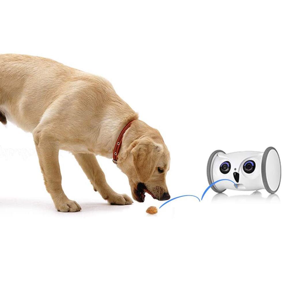 Skymee-Owl Robot İnteraktif Evcil Hayvan Oyuncağı-Teknolojik Pet Ürünleri-4-Milagron.com