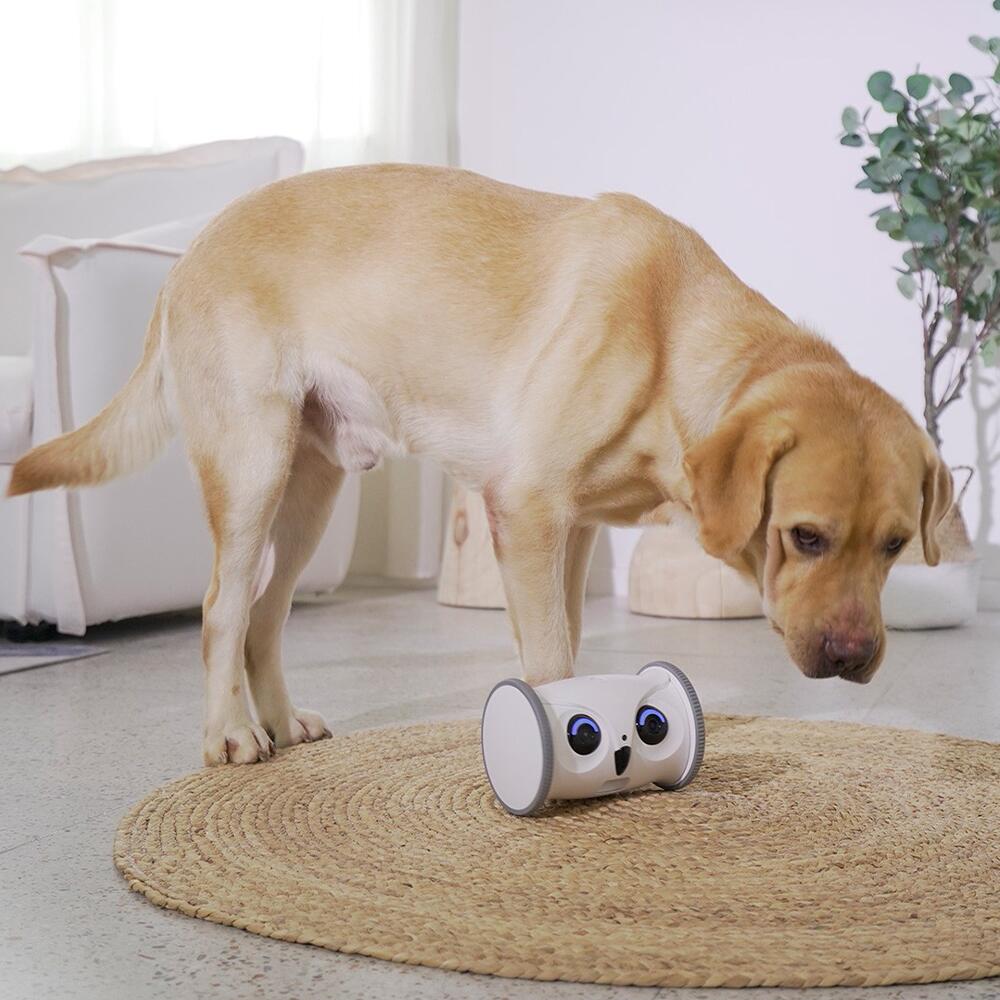 Skymee-Owl Robot İnteraktif Evcil Hayvan Oyuncağı-Teknolojik Pet Ürünleri-5-Milagron.com