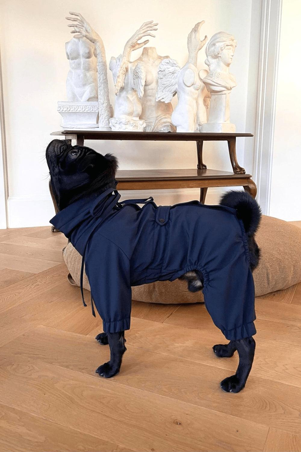 St. Pia-Astro Köpek Tulum Mont - Lacivert-Köpek-2-Milagron.com