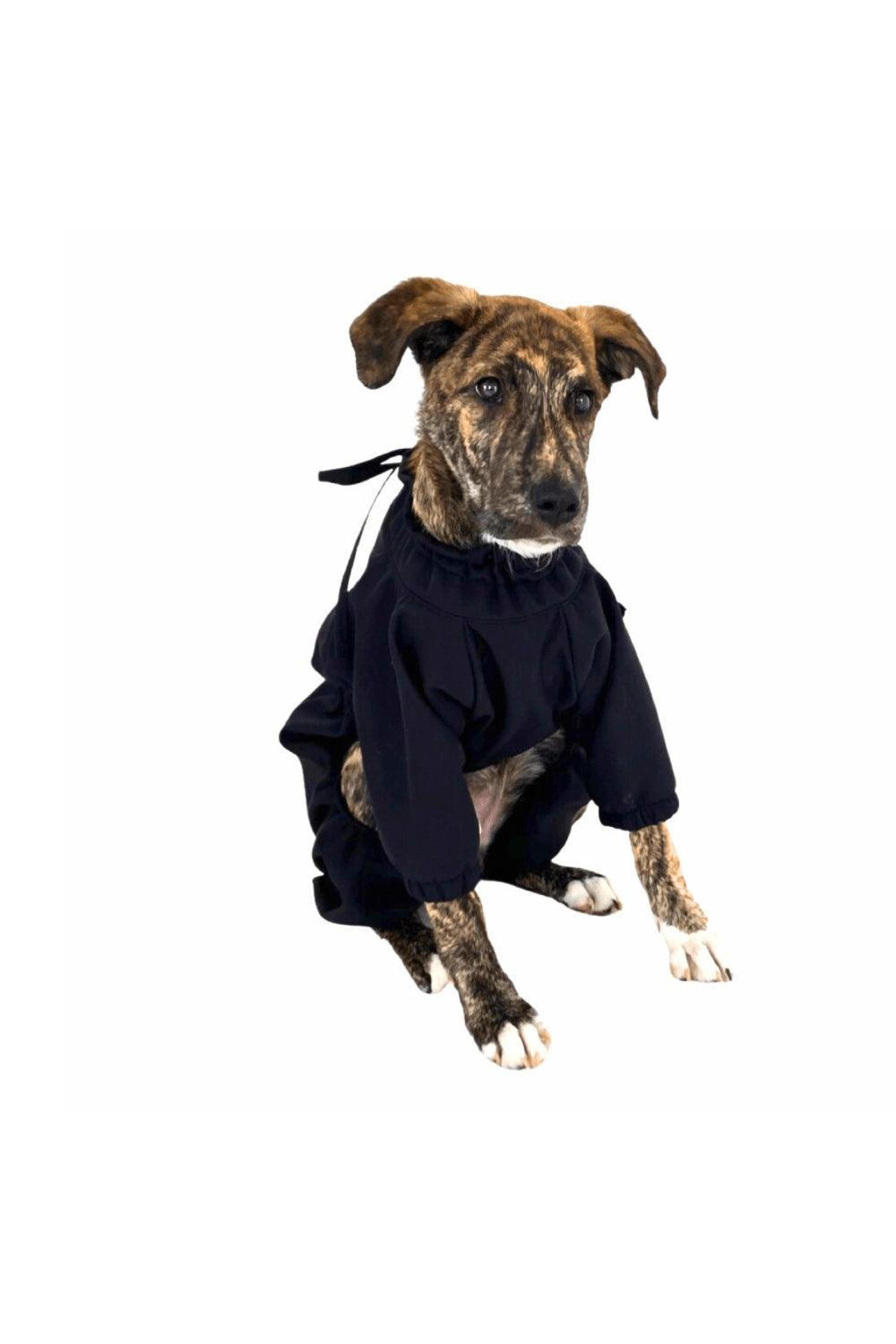 St. Pia-Astro Köpek Tulum Mont - Lacivert-Köpek-4-Milagron.com