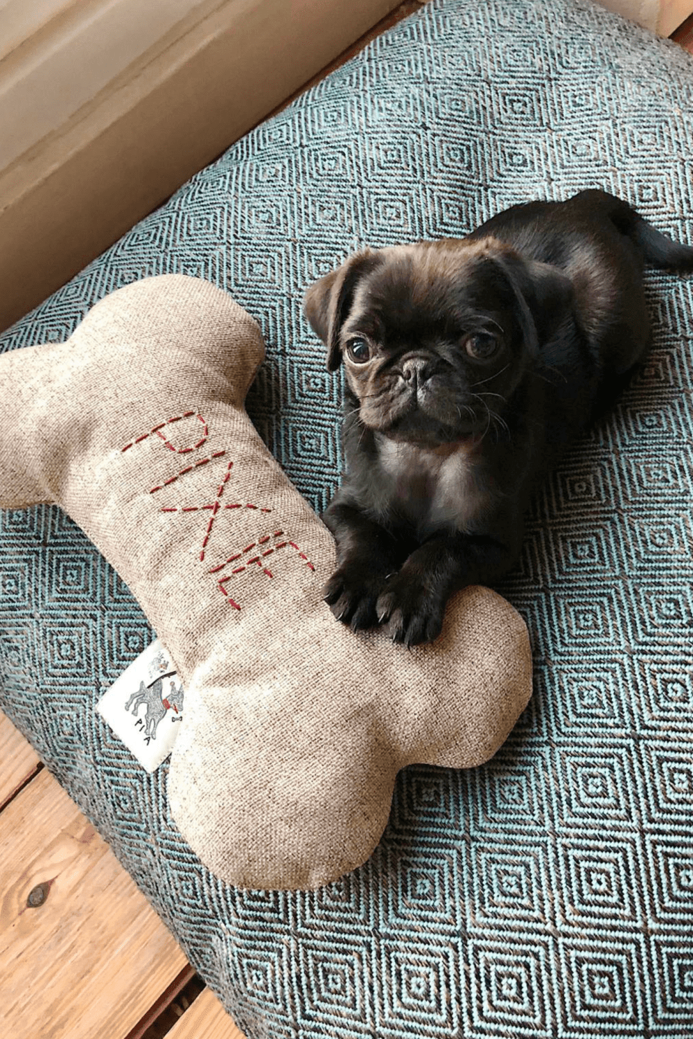 St. Pia-Bone Köpek Yastığı - Nutmeg - Kişiselleştirilebilir-Köpek-1-Milagron.com