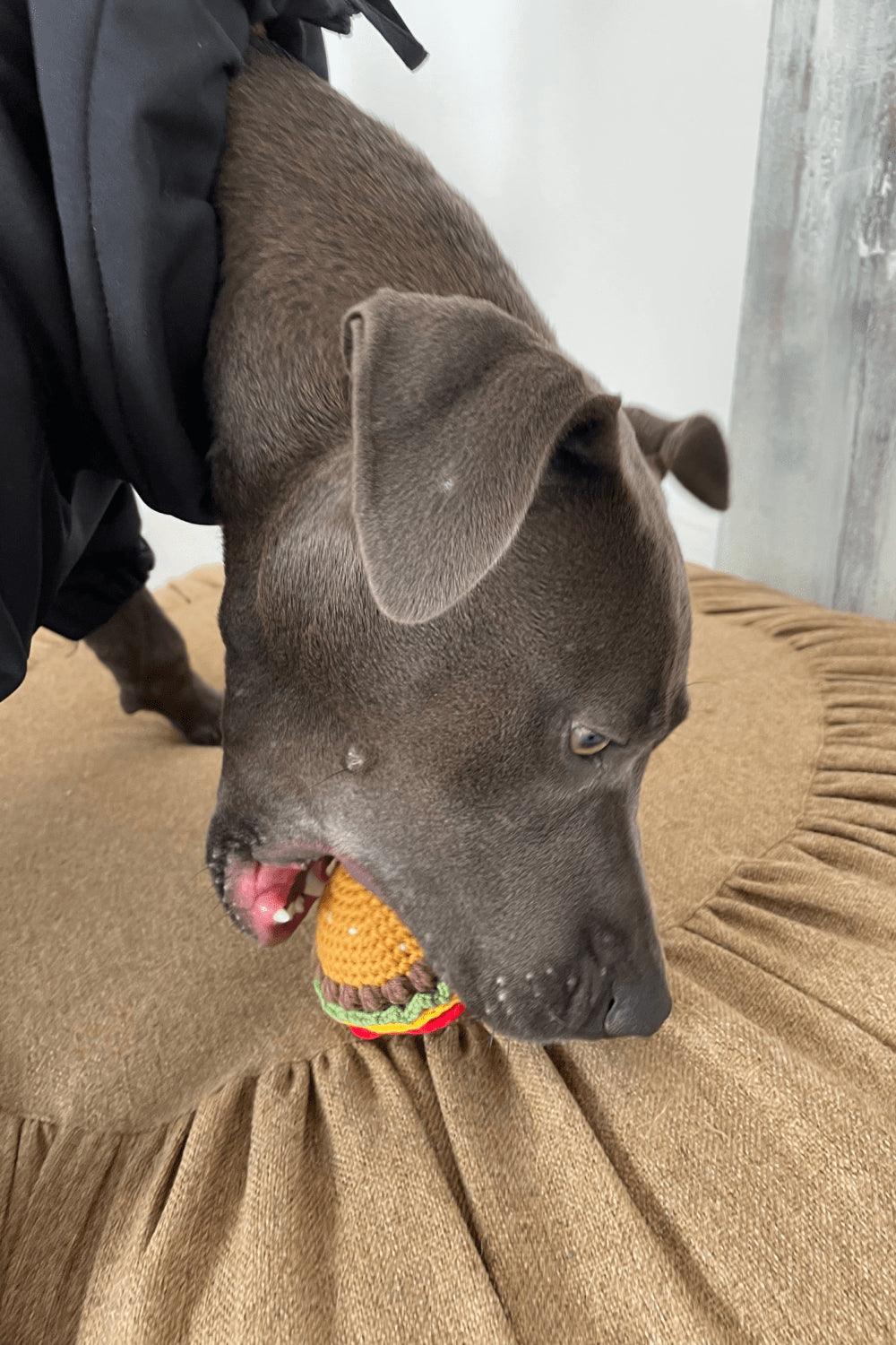 St. Pia-Burger El Yapımı Kedi + Köpek Oyuncağı-Köpek-3-Milagron.com