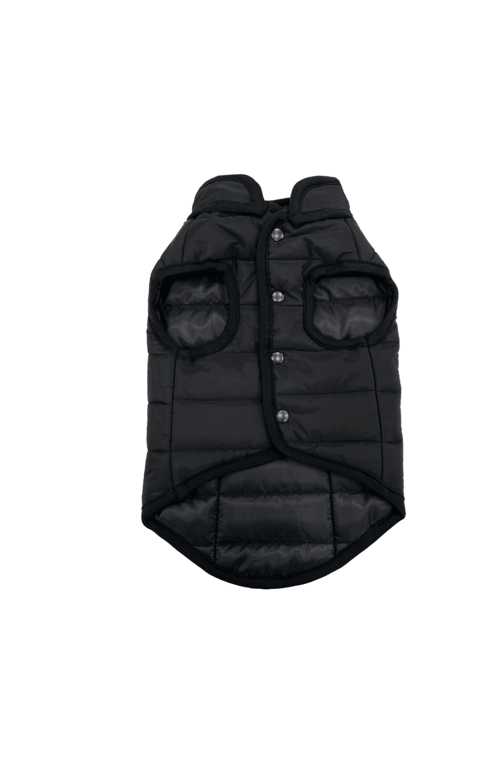 St. Pia-Hive Köpek Montu-Köpek-1-Milagron.com