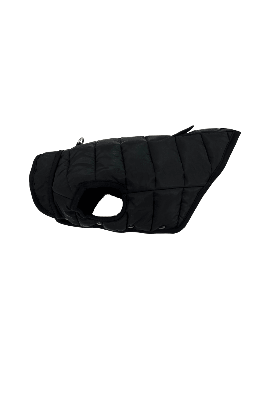 St. Pia-Hive Köpek Montu-Köpek-7-Milagron.com