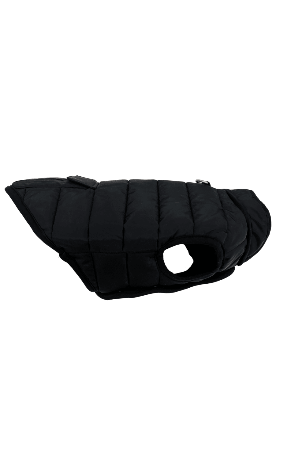 St. Pia-Hive Köpek Montu-Köpek-8-Milagron.com