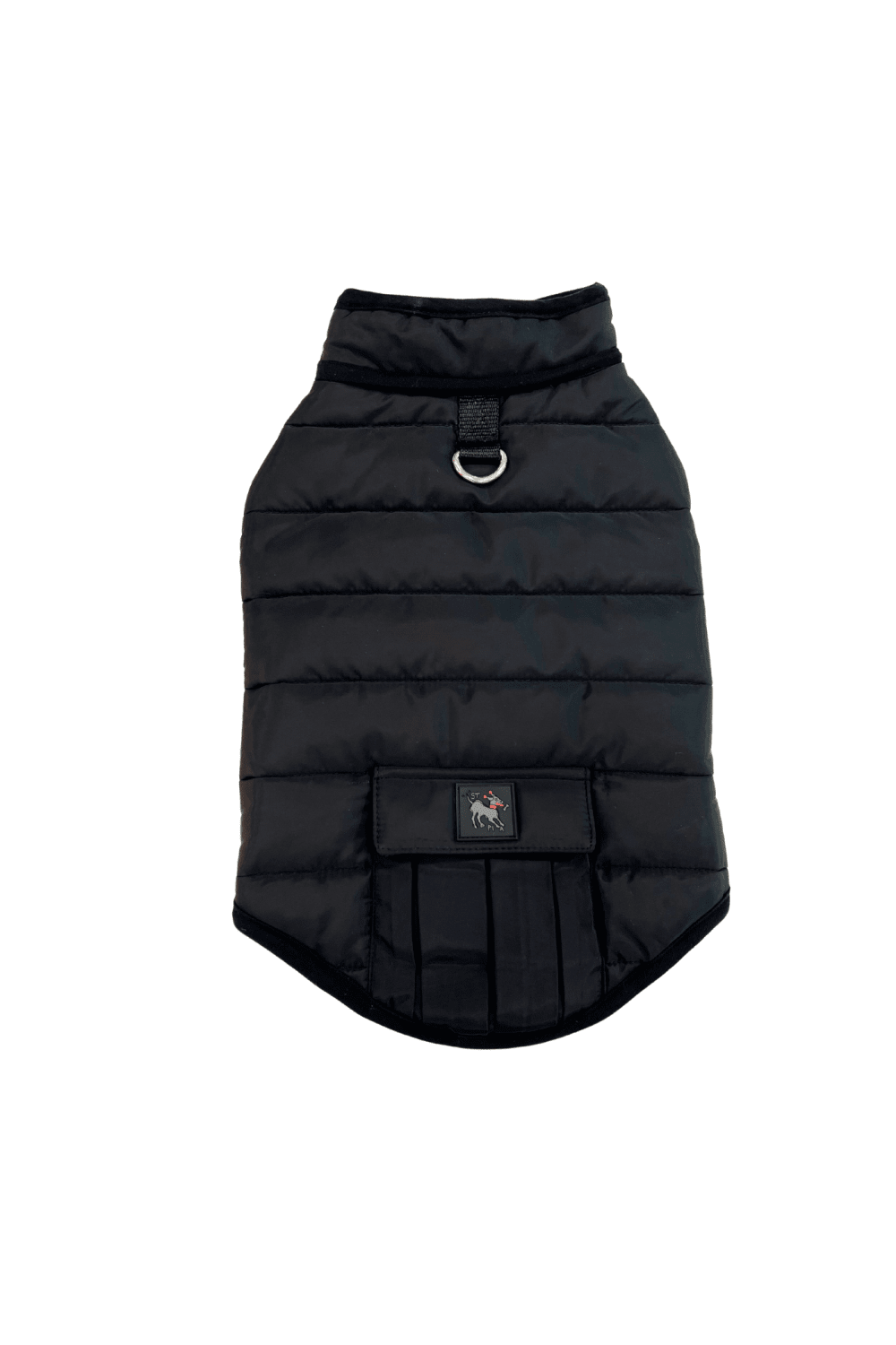 St. Pia-Hive Köpek Montu-Köpek-9-Milagron.com