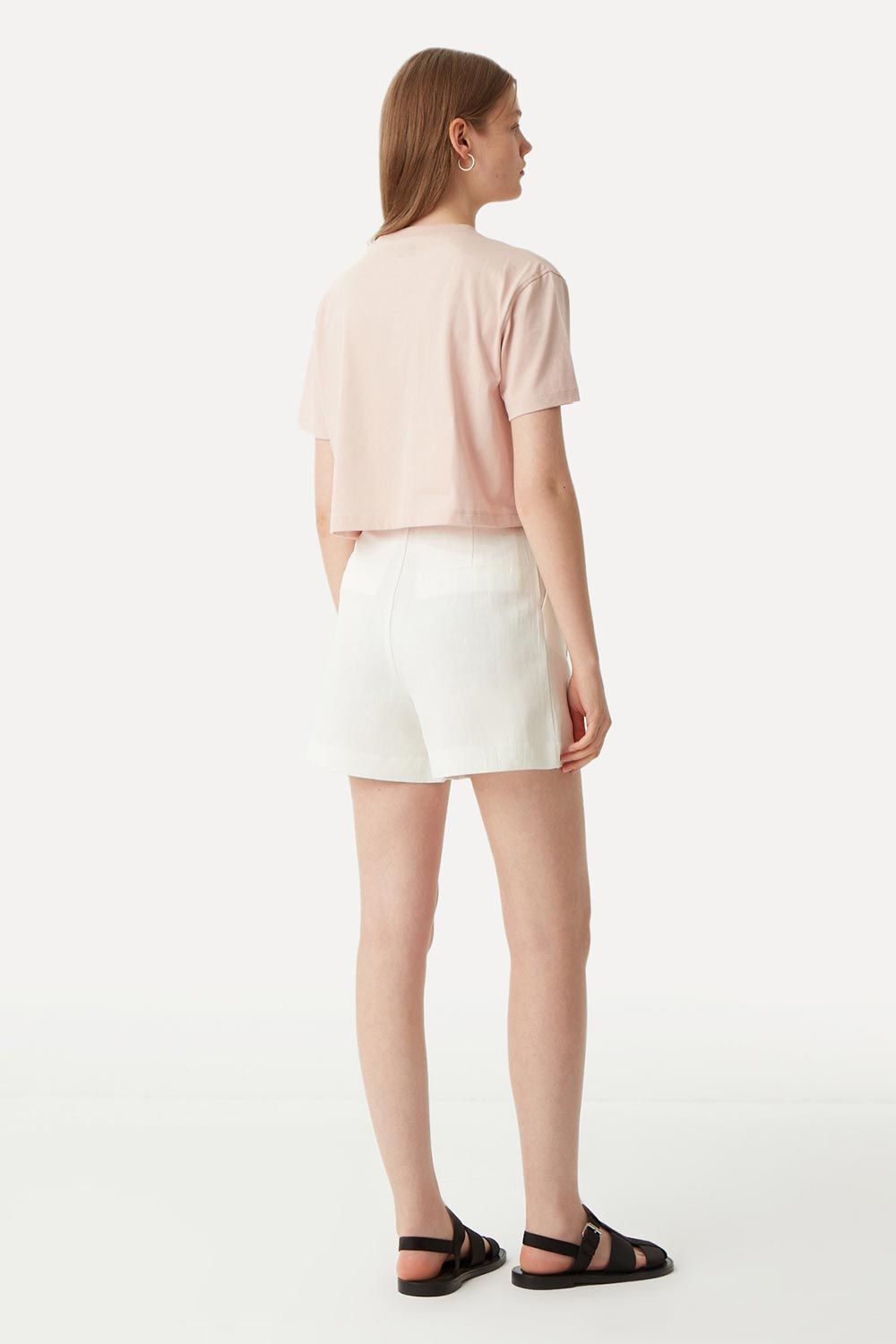 WWF Market-Sugar Glider Crop T-Shirt - Somon-T-Shirts-5-Milagron.com