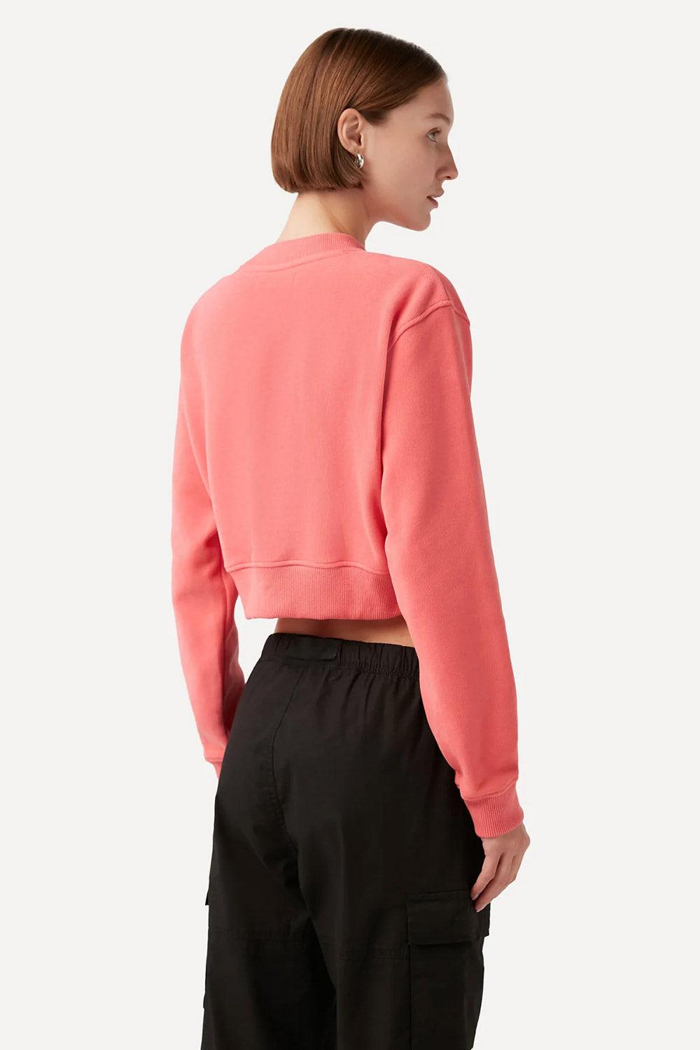 WWF Market-Yavru İmparator Penguen Crop Sweatshirt - Pembe-Sweatshirts & Hoodies-5-Milagron.com