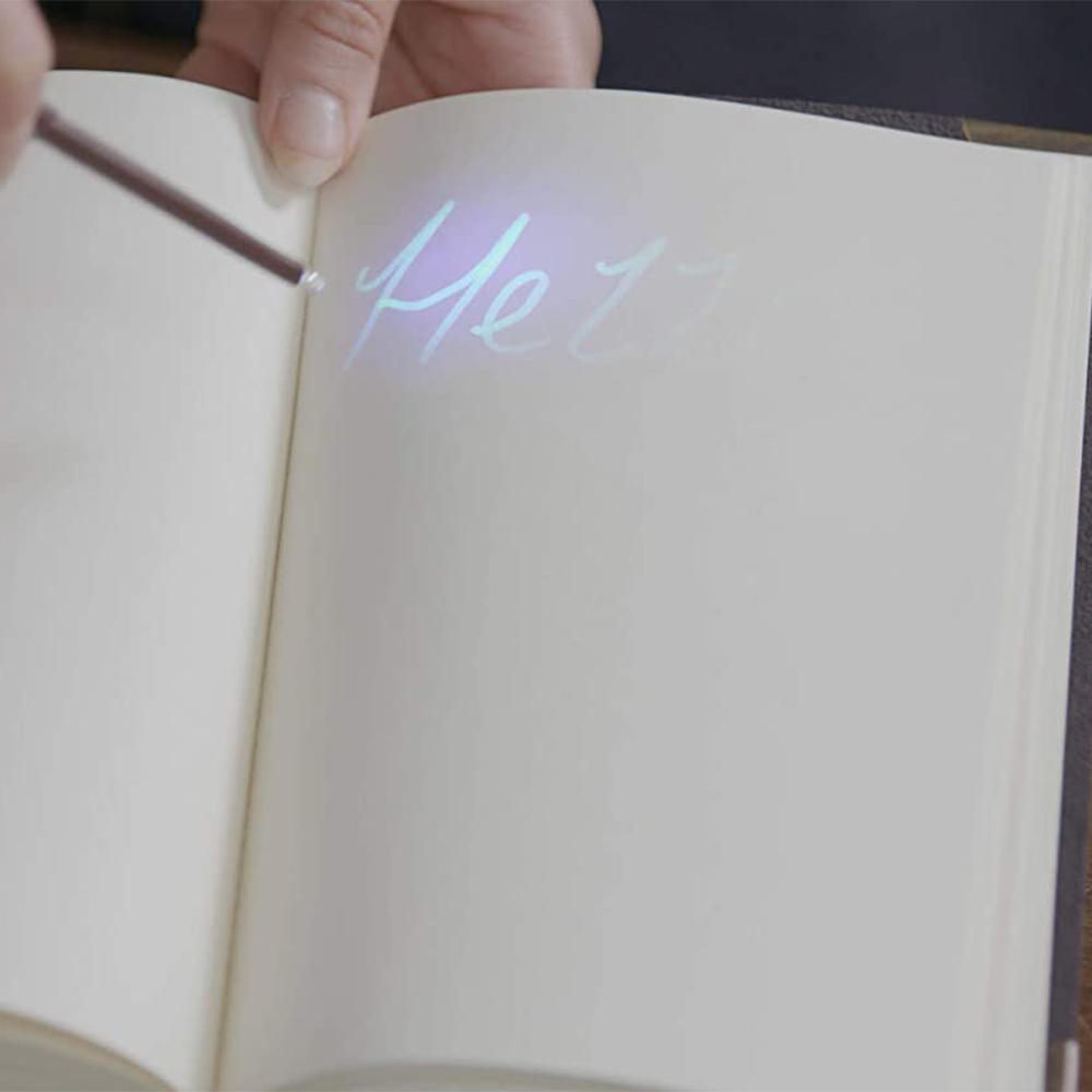 Wizarding World-Harry Potter Lisanslı Tom Riddle'ın Günlük Fener ve Kalem Seti-Figürler-5-Milagron.com