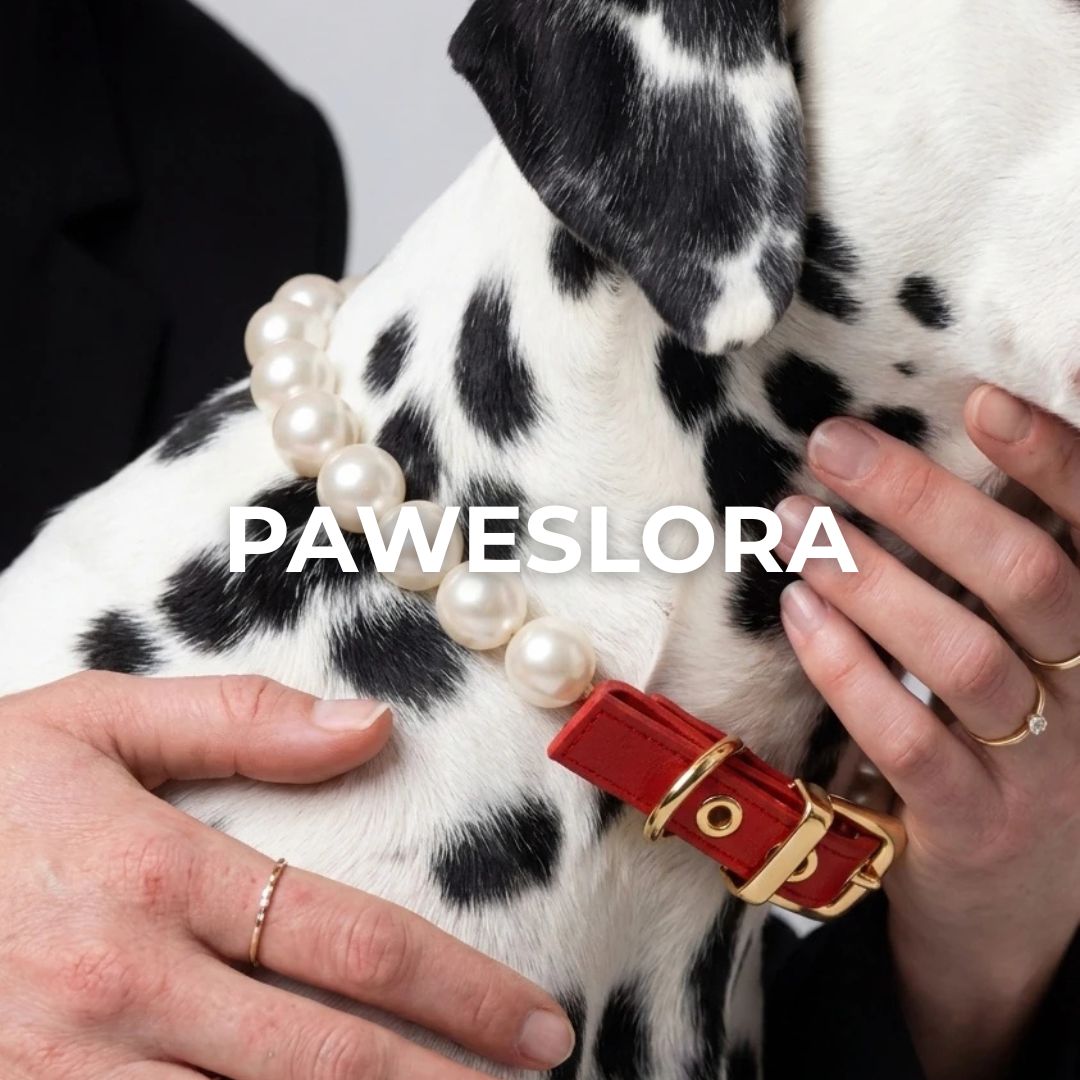 Paweslora