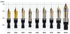 Pelikan M400 14K Altın Uç Bicolor Dolma Kalem Ucu M