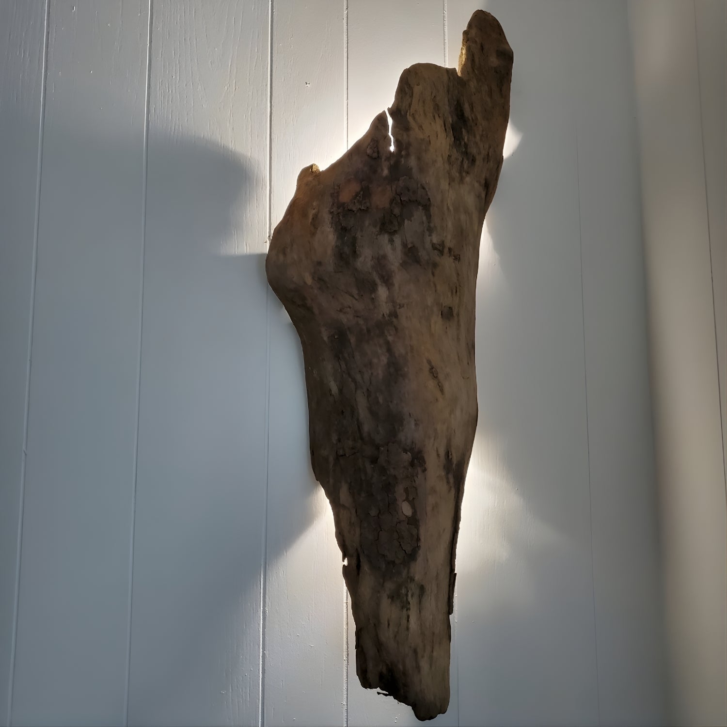 Legno Luce Özel Üretim Gerçek Ağaç Tasarımlı Ledli Duvar Lambası / Doğal Ahşap Kütük Aplik