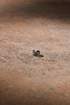 Net Kıkırdak Küpe - 2