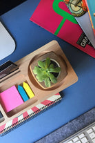 Mini Grove Masa Düzenleyici - 8