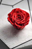 Siyah Geometrik Teraryum Cam Fanus Solmayan Gül Sevgililer Günü 31x22x22cm - 1