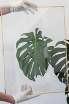 Pirinç Zincirsiz Duvar Aparatlı Cam Fotoğraf Çerçevesi 60x45cm - 7