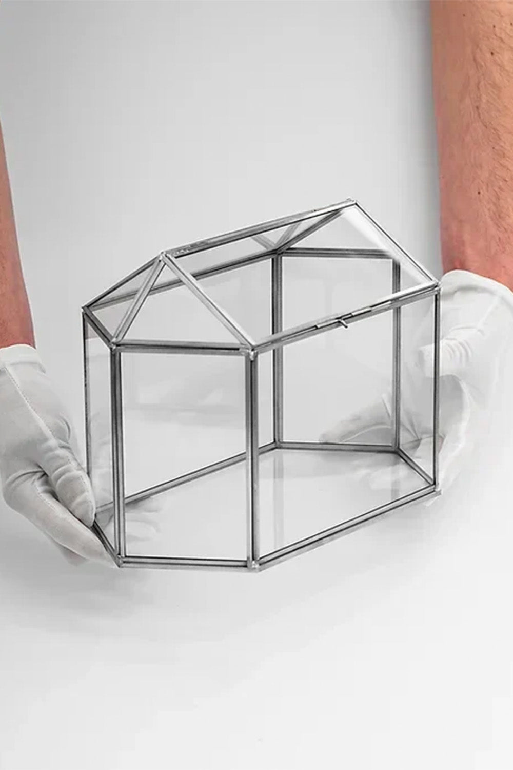 Kart Kutusu | Cam | Geometrik Teraryum | Fanus | Gümüş - 2