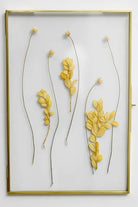 Pirinç Zincirsiz Duvar Aparatlı Cam Fotoğraf Çerçevesi 30x20cm - 1