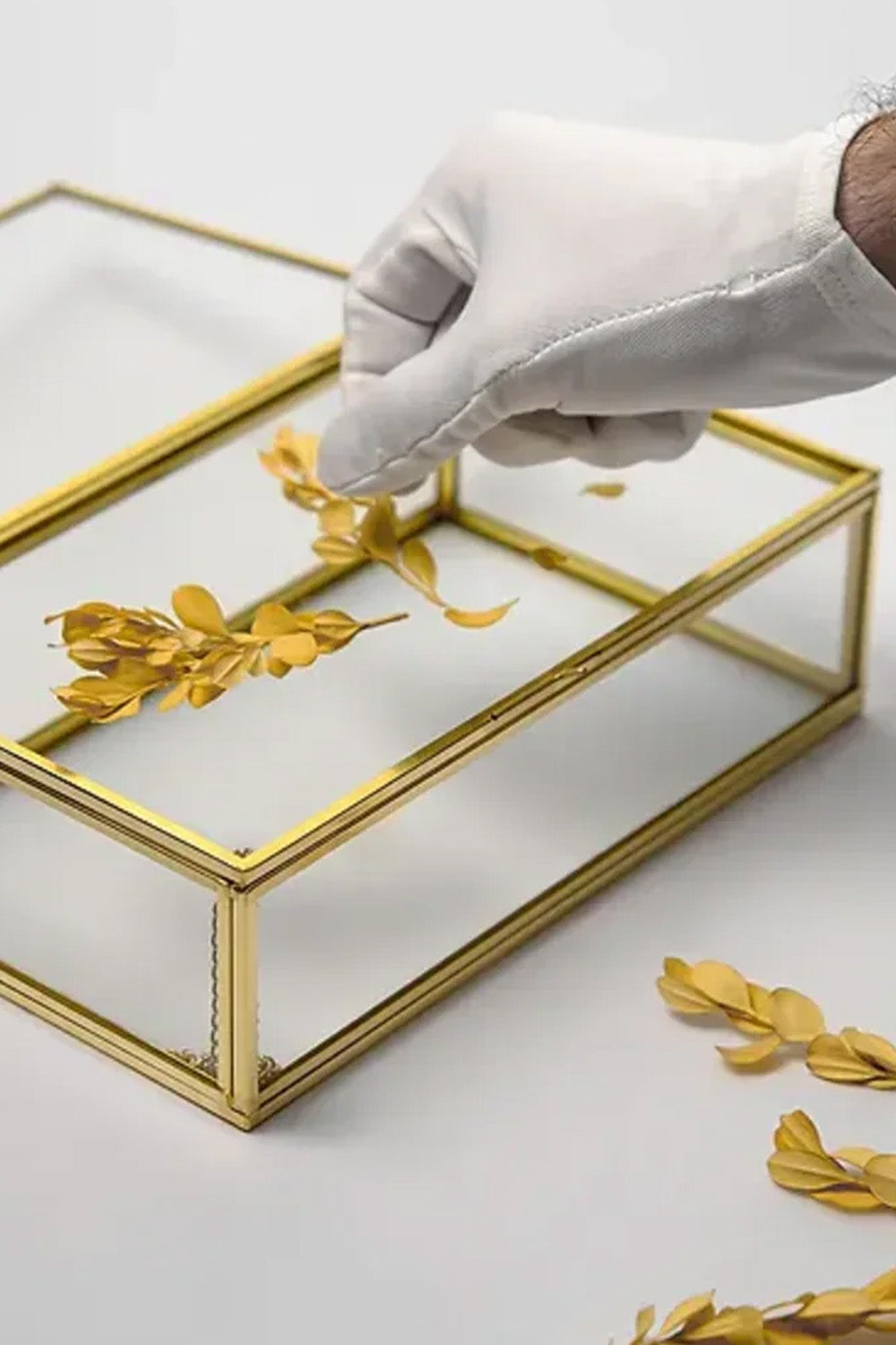 Pirinç Kapaklı Kutu Cam Kuru Çiçek Organizer Takı Aksesuar Çerçeve 23x14x6cm - 3