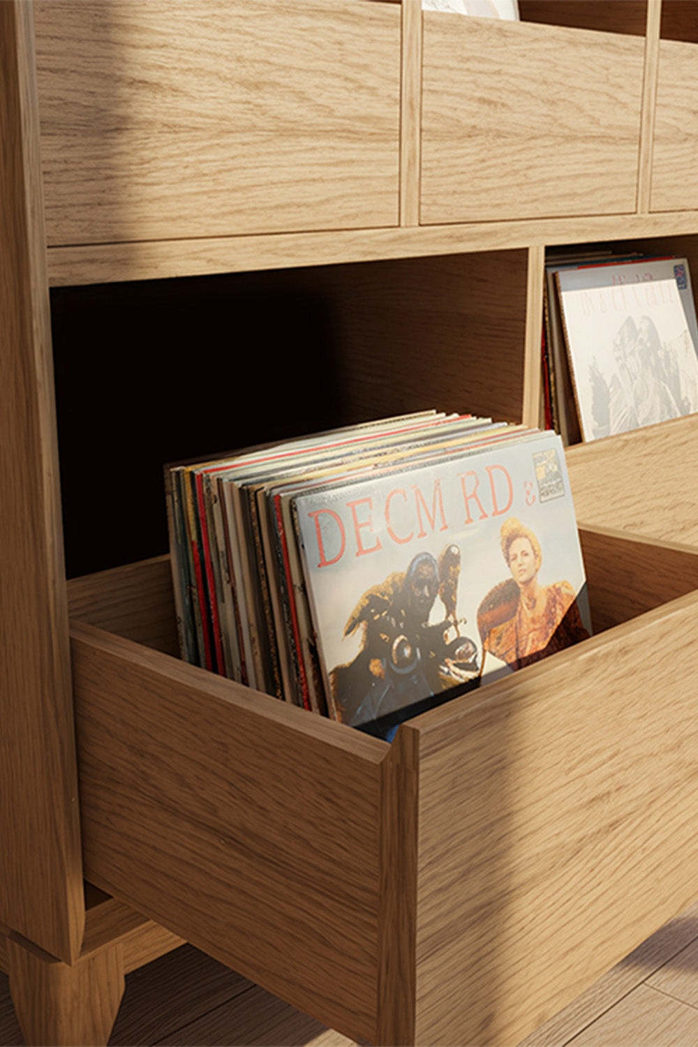 Viny M Plak Dolabı - 2