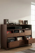 Viny M Plak Dolabı - 3