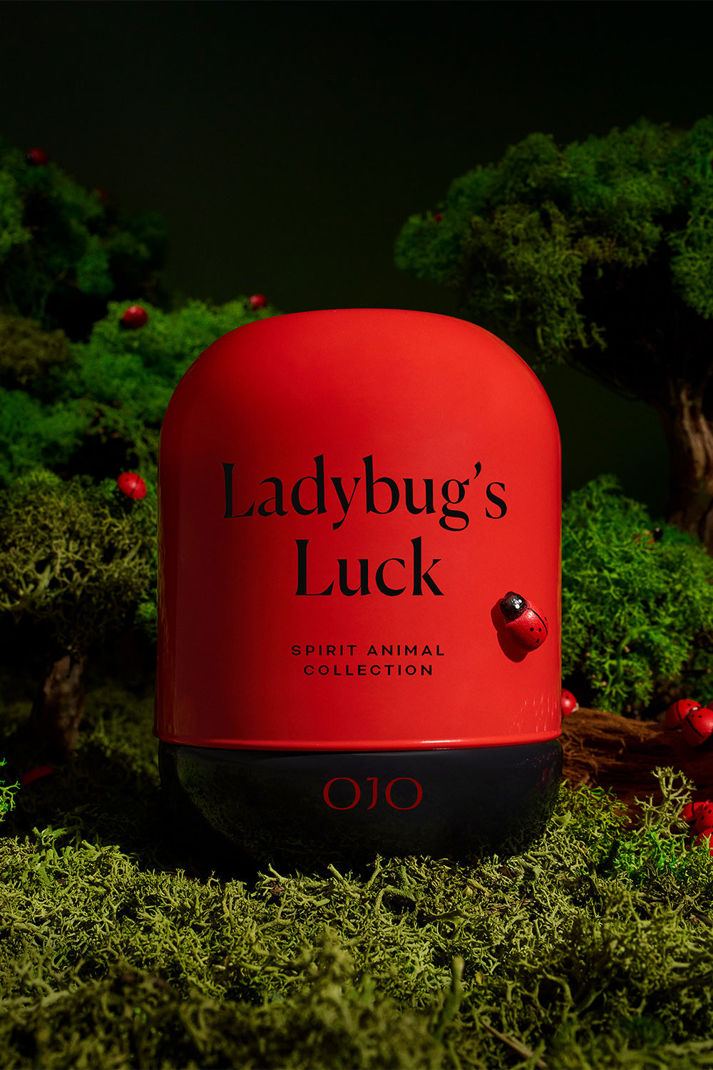 Ladybug's Luck - 5