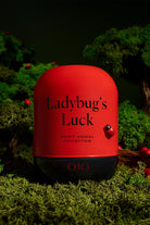 Ladybug's Luck - 5